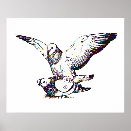 ハト交配 ポスター (正面)