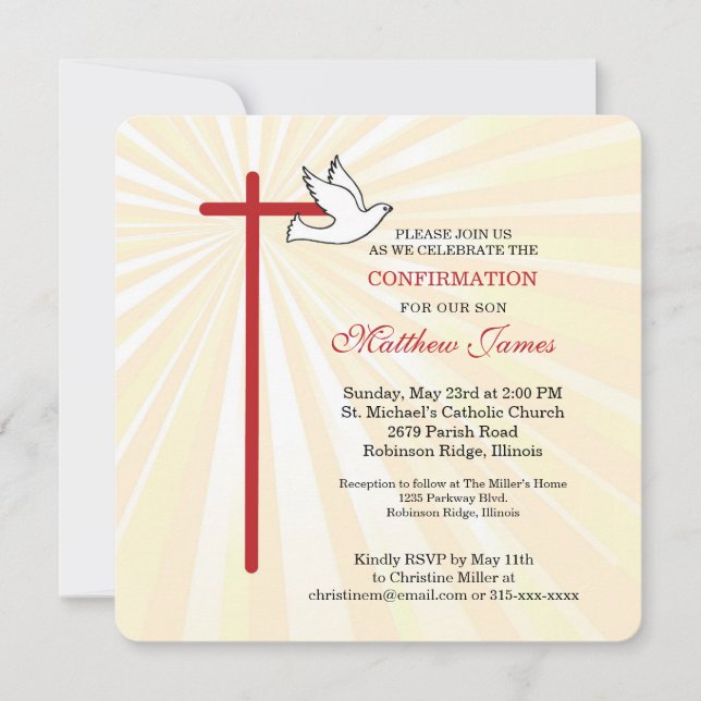 ハト光の確認 (正面)