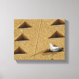 ハト写真 キャンバスプリント