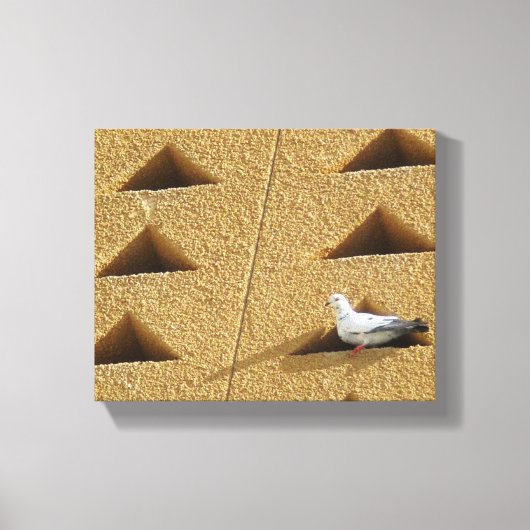 ハト写真 キャンバスプリント (正面)