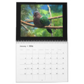 ハト及び鳩2017年 カレンダー (1月 2026)