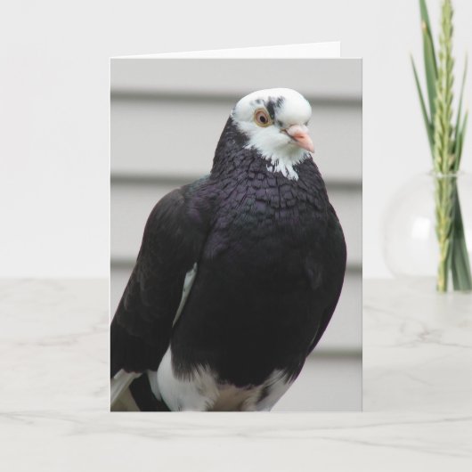 ハト夫人 カード (正面)