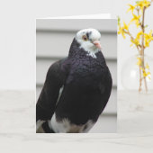 ハト夫人 カード (黄色い花)