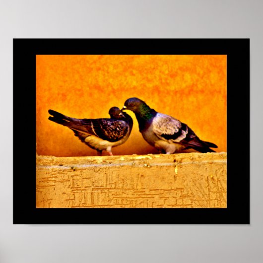 ハト好き ポスター (正面)