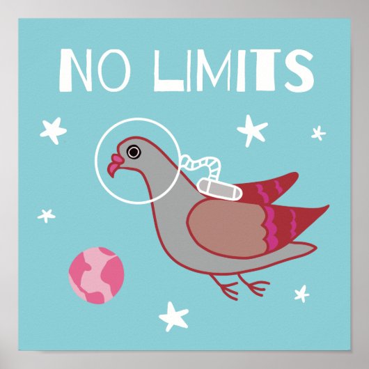 ハト宇宙探検家 ポスター (正面)