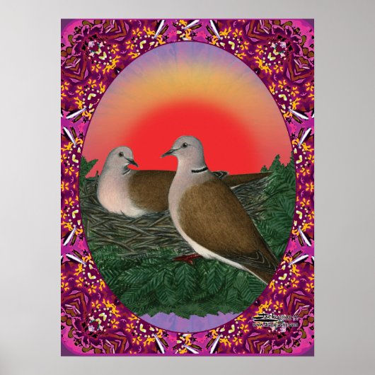 ハト枠 ポスター (正面)