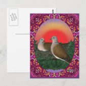 ハト枠 ポストカード (正面/裏面)