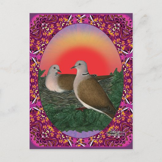 ハト枠 ポストカード (正面)