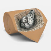 ハト科 ネクタイ (ロール)