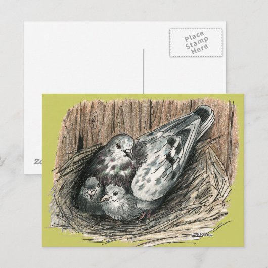 ハト科 ポストカード (正面/裏面)