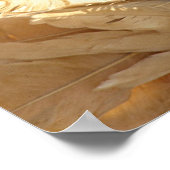 ハト美しいの鳥 ポスター (角)