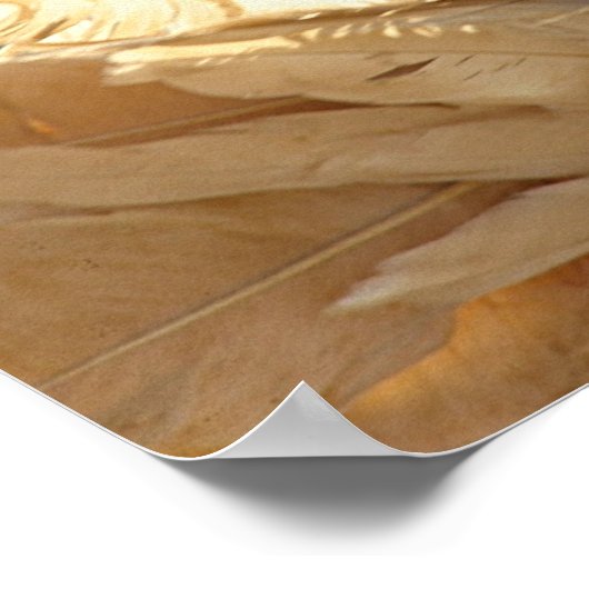 ハト美しいの鳥 ポスター (角)