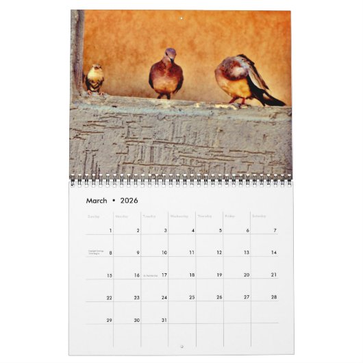 ハト美しい カレンダー (3月 2026)