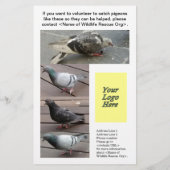 ハト足傷害救助カスタマイズ可能な垂直 チラシ (裏面)