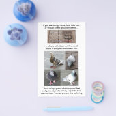 ハト足傷害救助カスタマイズ可能な垂直 チラシ (シングル)