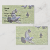 ハト飛んでいるン 名刺 (正面/裏面)