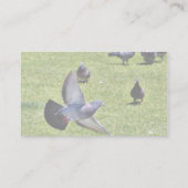 ハト飛んでいるン 名刺 (裏面)