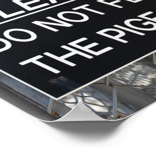 ハト食べ物を与えン・ニューヨーク市NYCは止めて ポスター (角)