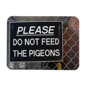 ハト食べ物を与えン・ニューヨーク市NYCは止めて マグネット (横)