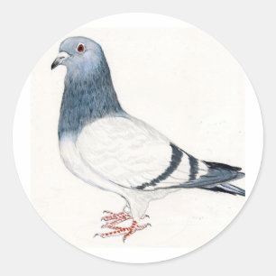 ハト鳥の芸術のステッカー ラウンドシール