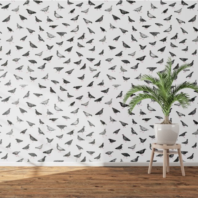 ハト鳥 壁紙 (Fun pigeon bird wallpaper)