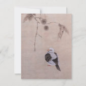 ハト (正面)