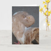 ハト カード (黄色い花)