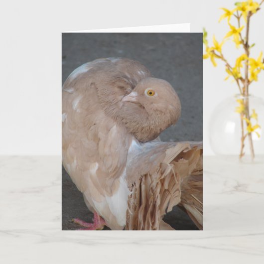 ハト カード (黄色い花)