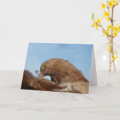 ハト カード (黄色い花)