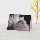 ハト カード (黄色い花)