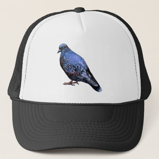 ハト キャップ (正面)