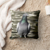 ハト クッション (ブランケット)