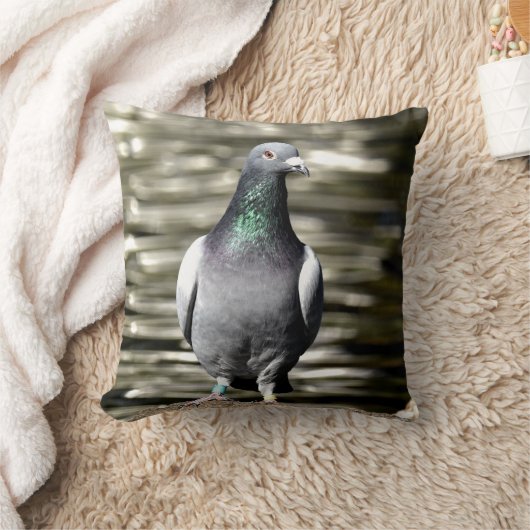 ハト クッション (ブランケット)