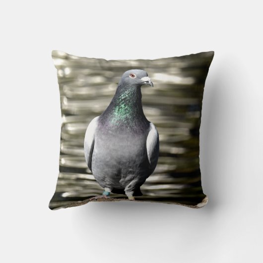 ハト クッション (裏面)