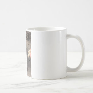 ハト コーヒーマグカップ