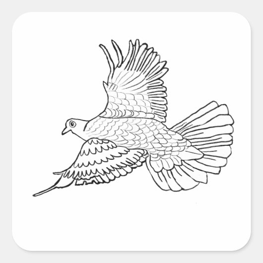 ハト🕊️ スクエアシール (正面)