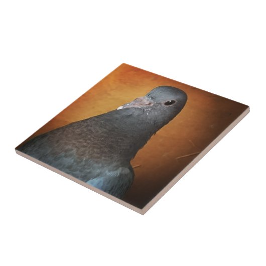 ハト タイル (側面)