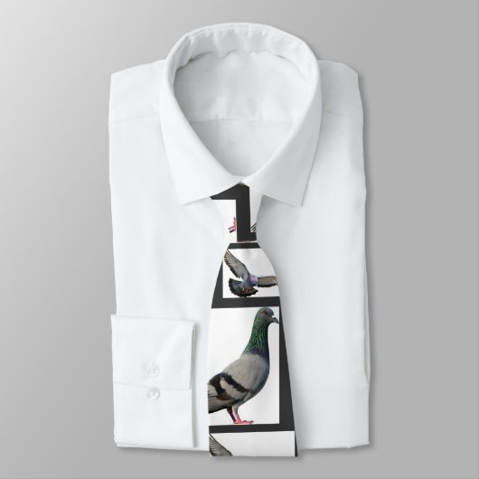 ハト ネクタイ (タイ)