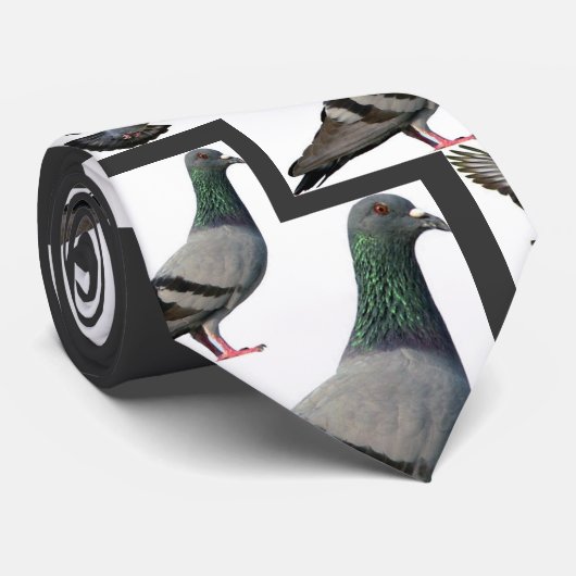 ハト ネクタイ (ロール)