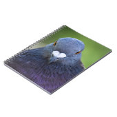 ハト ノートブック (左側)