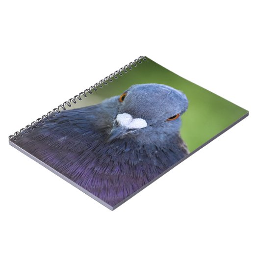 ハト ノートブック (左側)