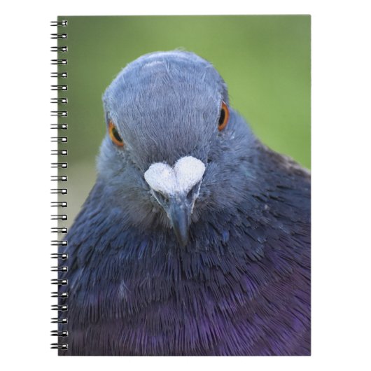 ハト ノートブック (正面)