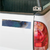 ハト バンパーステッカー (トラック上)