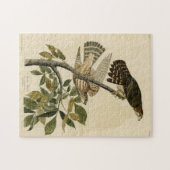 ハト・ホーク（メルリン） – オードボンのアメリカの鳥 ジグソーパズル (横)