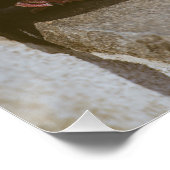 ハト ポスター (コーナー)