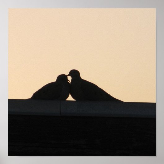 ハト ポスター (正面)