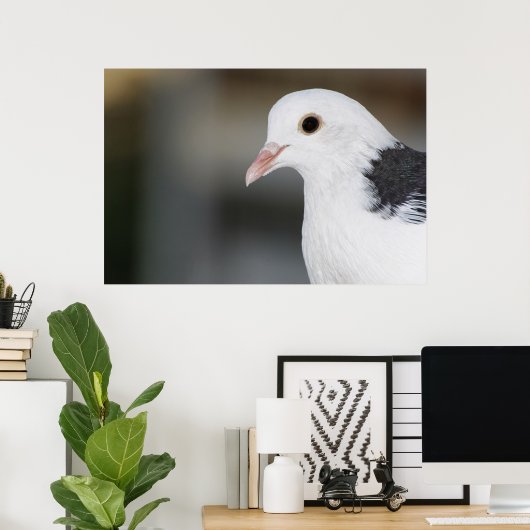 ハト ポスター (ホームオフィス)