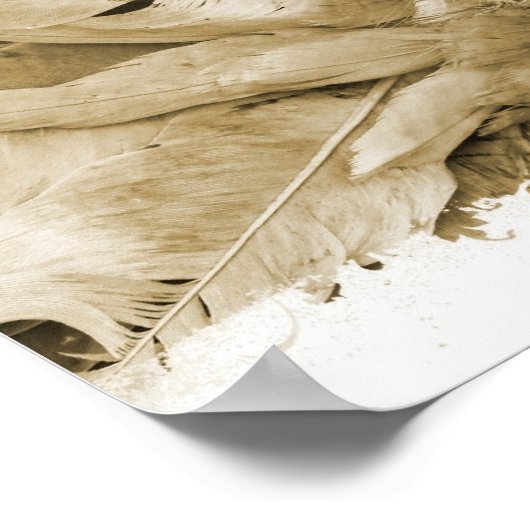 ハト ポスター (角)