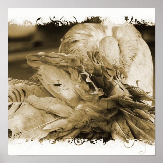 ハト ポスター (正面)