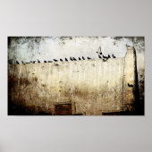 ハト ポスター (正面)